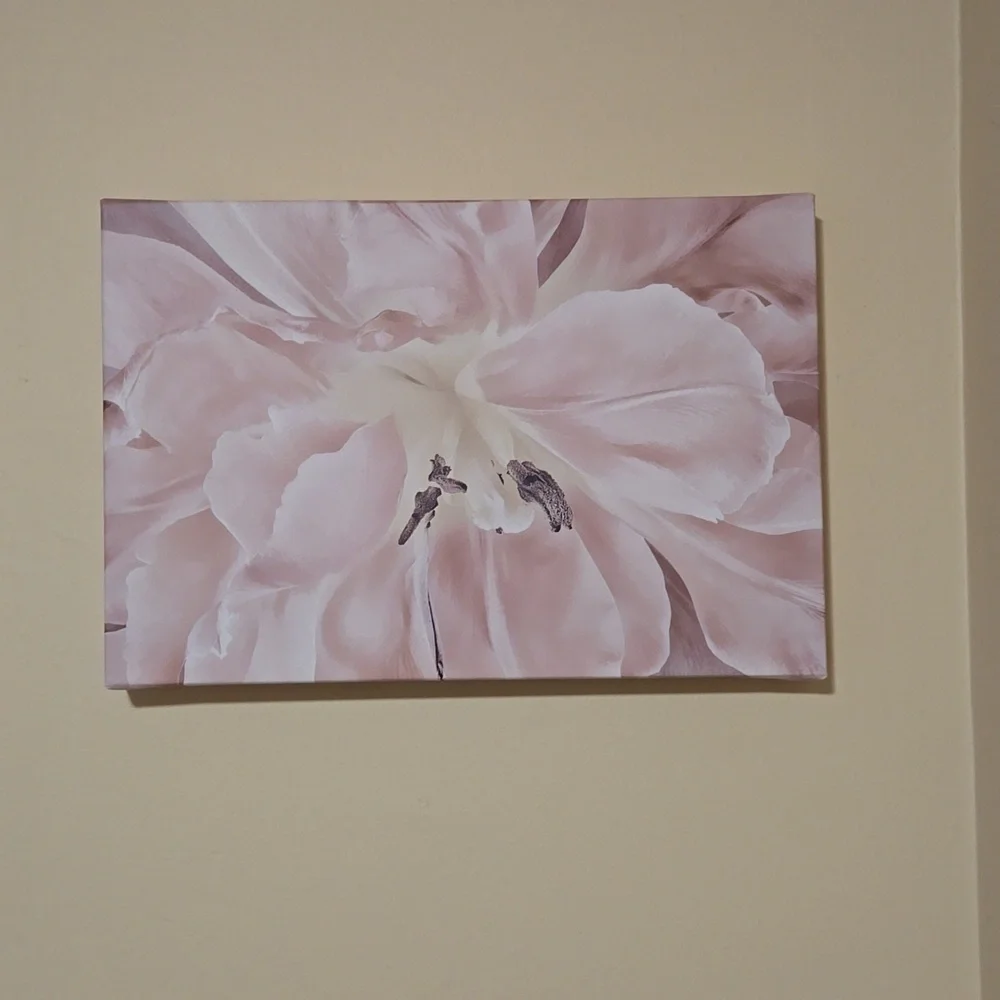 ArtWall Cora Niele 